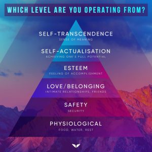 Maslow's hierarchy of needs